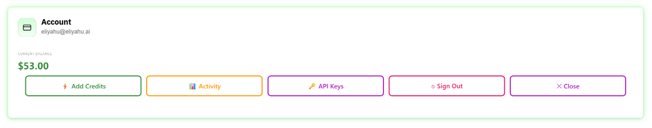 Account panel